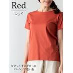 極上Tシャツ ReMサイズ スピーマコットン