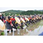 北広島町への寄付（返礼品なし）