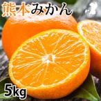 熊本みかん 5kg