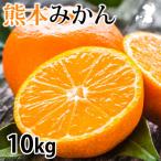 ふるさと納税 熊本市 熊本みかん 10kg【2026年10月上旬から2027年2月下旬発送予定】