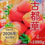 ふるさと納税 奈良市 【先行受付】2026年(令和8年)1月以降順次発送 厳選古都華いちご(270g×4P)10-195