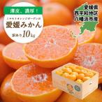 ふるさと納税 八幡浜市 【2025年11月より順次発送】愛媛県八幡浜市産 愛媛みかん10kg【訳あり】【D25-177】