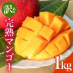 ふるさと納税 糸満市 【2025年発送】 訳あり 完熟アーウィンマンゴー 1kg