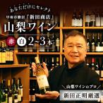 ふるさと納税 甲州市 ワインは赤白どちらも!山梨ワインのプロ「新田正明」が厳選!あなただけにセレクト 2〜3本 甲州勝沼