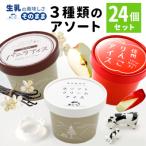 ふるさと納税 根羽村 3種類のアイスアソート 24個入り 生ソフトクリームアイス バニラアイス りんごアイス