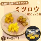 五島列島産日本ミツバチミツロウ 1袋50g×3個