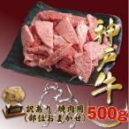 ふるさと納税 宝塚市 神戸牛(神戸ビーフ) 訳あり 焼肉用(不揃い)500g TZY1