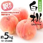 ふるさと納税 山形県 フルーツ王国・山形産 白桃 約5kg(10〜25玉程度) 訳あり品【2025年8月上旬より順次発送】