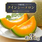 ふるさと納税 宇城市 熊本産クインシーメロン2玉約3kg(宇城市)