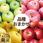 ふるさと納税 青森市 りんご 品種おまかせ 約3kg 訳あり クール便【さとふる限定