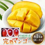 ふるさと納税 高鍋町 宮崎県産完熟マンゴー 2L×3玉(約1kg)