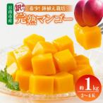 ふるさと納税 日南市 訳あり 希少 完熟マンゴー 鉢植え栽培 計 約1kg