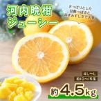 河内晩柑ジューシー 約4.5kg