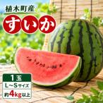 すいか 1玉