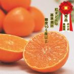 ふるさと納税 八幡浜市 【12月上旬〜順次発送】紅まどんなと同品種 みさき果樹園の愛まどんな3kg【E21-36】