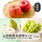 ふるさと納税 尾花沢市 先行受付 ラ・フランス サンふじ シャインマスカット 秀品 詰め合わせ 2.5kg 令和7年産