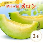ふるさと納税 京丹後市 【先行予約/数量限定100】夕日ヶ浦メロン 2玉 2Lサイズ(1.6kg以上) 甘味の強いメロン