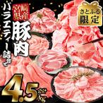 ふるさと納税 国富町 【さとふる限定】豚肉バラエティー詰合せセット 4.5kg(国富町)