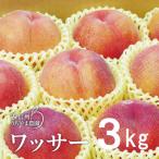 ふるさと納税 長野県 信州うちやま農園の「ワッサー」約3kg(9〜11玉入り) 桃+ネクタリンの掛け合わせ