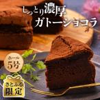 ガトーショコラ 5号