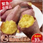 ふるさと納税 行方市 【緊急支援品】【訳あり】無選別 行方台地のさつまいも 熟成紅はるか 約10kg CU-326