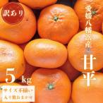 ふるさと納税 八幡浜市 【愛媛が誇る 高級みかん 希少品種】訳あり 甘平 (かんぺい) 5kg【F20-59】
