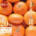 ふるさと納税 八幡浜市 【愛媛が誇る 高級みかん 希少品種】訳あり 甘平 (かんぺい) 20kg【H20-69】