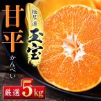 ショッピング甘平 ふるさと納税 八幡浜市 「玉宝ブランド」【甘平】5kg【H64-61】