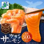 ふるさと納税 泉佐野市 アトランティックサーモン 総量 500g以上 サーモン  冷凍 099H3605