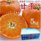 ふるさと納税 上島町 【先行受付】人気柑橘 甘平(かんぺい)レギュラー箱 5kg 愛媛県 JAおちいまばり