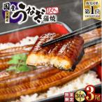 ふるさと納税 鹿屋市 【訳あり】【数量限定】鹿児島県 大隅産 うなぎ 蒲焼き 3尾 セット 計300g