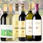 ふるさと納税 山梨県 スタンダードワイン6本セット　025