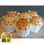 猫のクリームパン カスタード キャラメル