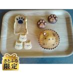 猫の焼菓子セット