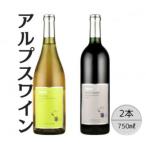 ふるさと納税 笛吹市 アルプスワイン　デラウェア・ベーリーAバレル　計2本セット 167-079