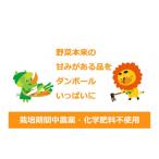 1名様向け 野菜5種セット
