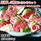 ふるさと納税 熊本市 馬刺し 5種 盛り合わせセット 5人前 250g 熊本直送(熊本市)