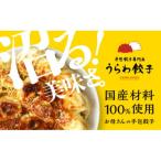 ふるさと納税 さいたま市 うらわ餃子　レギュラー30個・しそ10個・旨辛10個セット