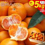 ふるさと納税 宮崎市 温州みかん5kg 傷み補償200g付き(宮崎市)