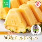 ふるさと納税 本部町 【2025年7月から順次発送】訳あり完熟ゴールドバレル3.5kg(3玉)