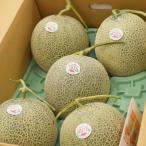 ふるさと納税 共和町 北海道 共和町産 らいでんメロン(赤果肉) 8kg(4〜6玉)
