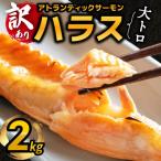 ふるさと納税 泉佐野市 【訳あり】アトランティックサーモン ハラス 2kg(1kg×2P)大トロ 腹身 G2423