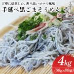 南 麺匠四代目 高橋 優名人作 手延べ黒ごまそうめん 4kg