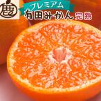 ふるさと納税 湯浅町 プレミアム 完熟有田みかん10kg+250g(傷み補償分)【光センサー選果】