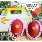 ふるさと納税 小野市 農菓村塾の完熟マンゴー『天華の雫』 優品2L 2個入(合計約700g以上)