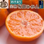 ふるさと納税 広川町 家庭用 完熟有田みかん10kg+250g(傷み補償分)【光センサー選果】【訳あり】