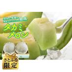 2027年夏収穫 なみおかメロン タカミメロン 2玉