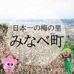 みなべ町への寄付（返礼品なし）