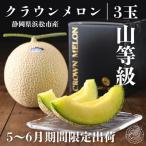 2027年5月~ クラウンメロン 山等級 約1.3kg