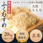 産ふくむすめ 特別栽培米 玄米20kg 10kg×2袋